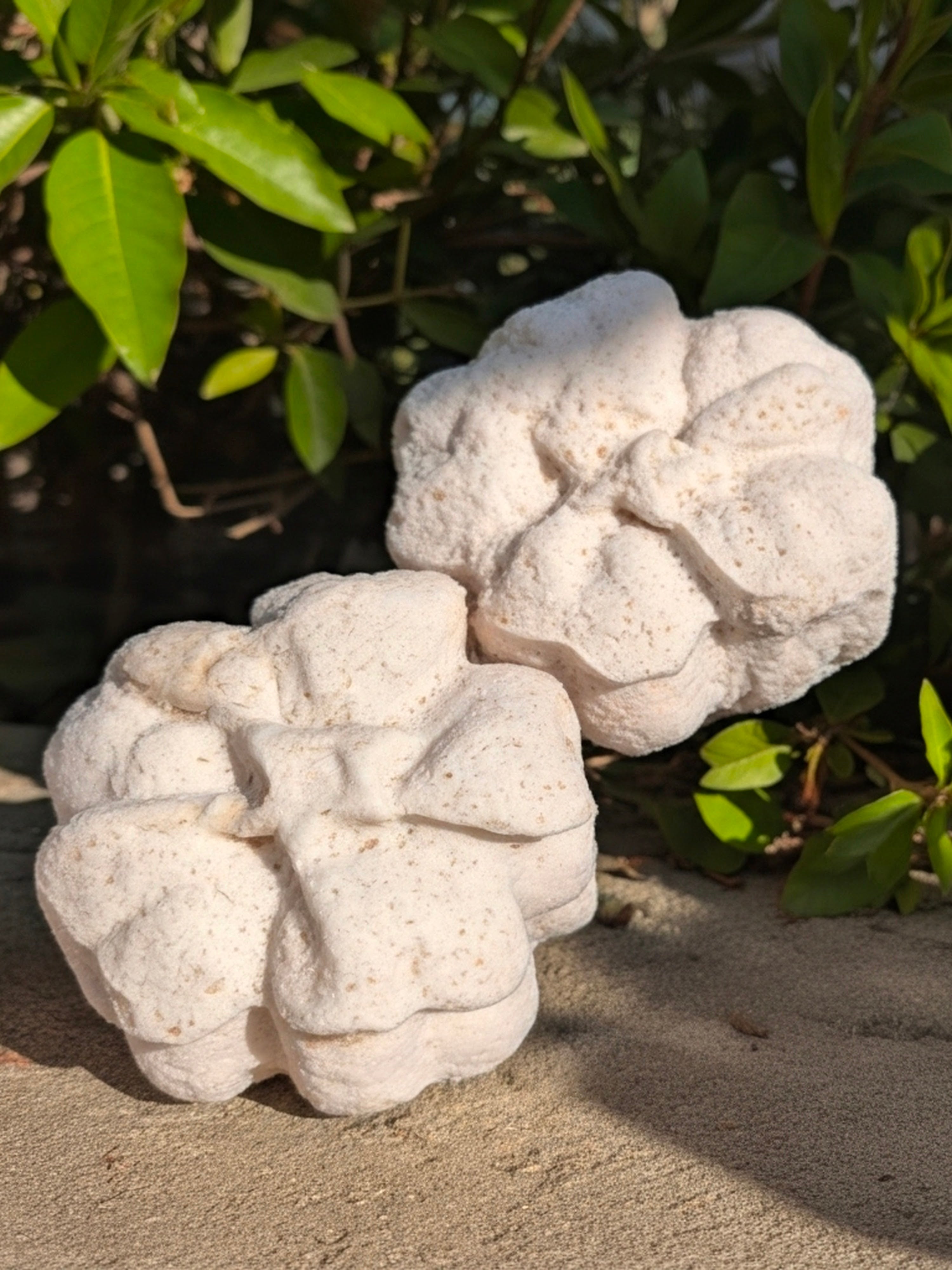 All-Natural Cold Process Oatmeal, Goat Milk & Honey Soap